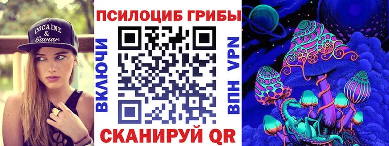 Галлюциногенные грибы GOLDEN TEACHER  Купить закладки  Новосокольники 